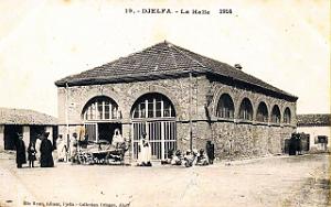 Djelfa - Halle - 1916